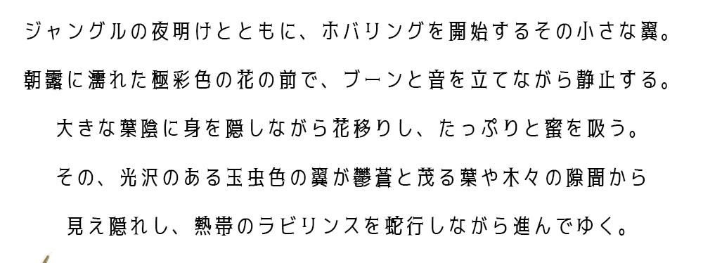 ハチドリの憂鬱 文庫屋 大関